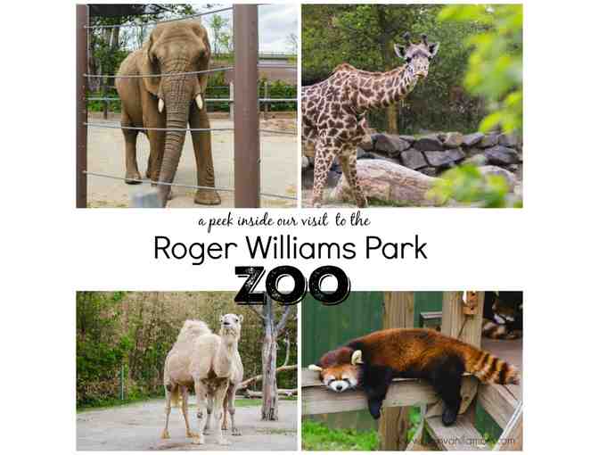 Roger Williams Park Zoo, Providence, RI: 4 daily admission tickets