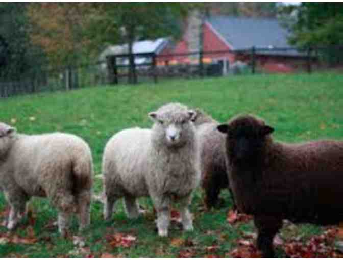 Mass Audubon One Year Family Membership ($65 value)