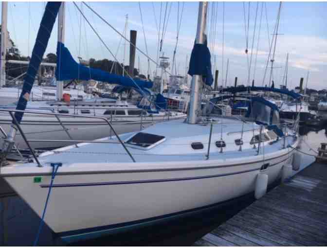 Sail Long Island Sound: 4 hour afternoon or sunset sail (out of Milford, CT)