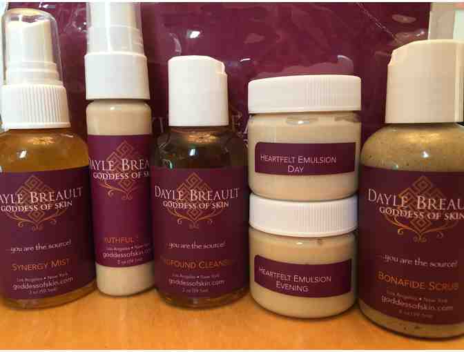 Dayle Breault's Goddess of Skin Travel Set