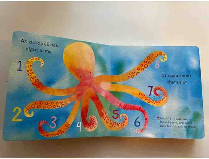 'Ocean Life' Children's Board book by Jill McDonald