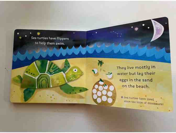 'Ocean Life' Children's Board book by Jill McDonald