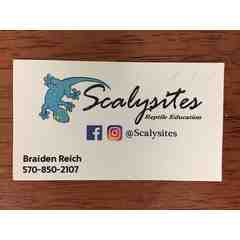 Scalysites Reptile Education