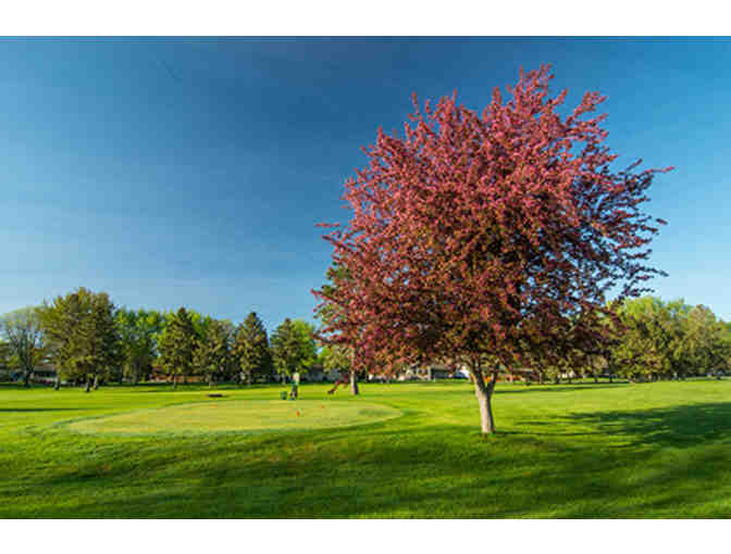 Golf for 4 at Faribault Golf Club, Carts Included