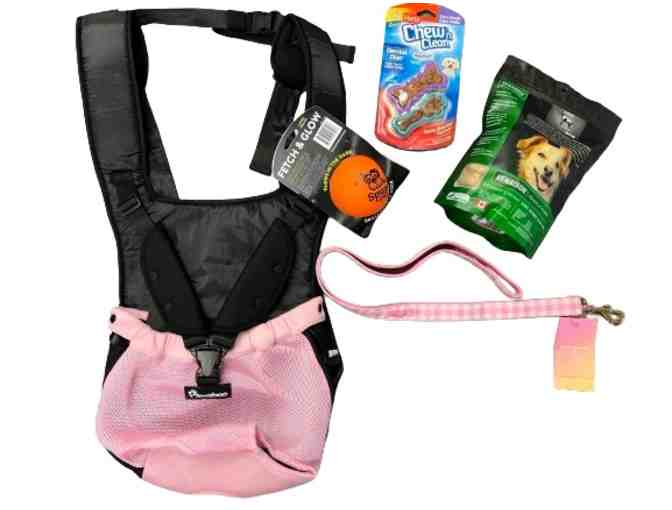 Pet Adventure Essentials Bundle