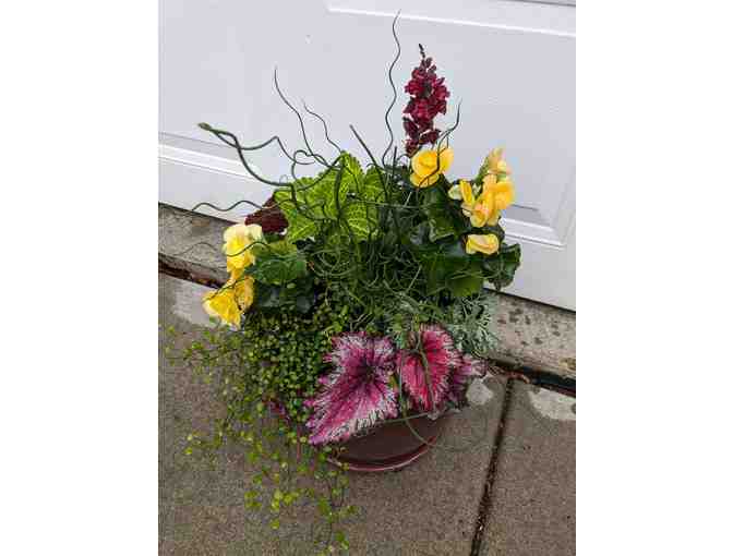 Clover & Spade Planter