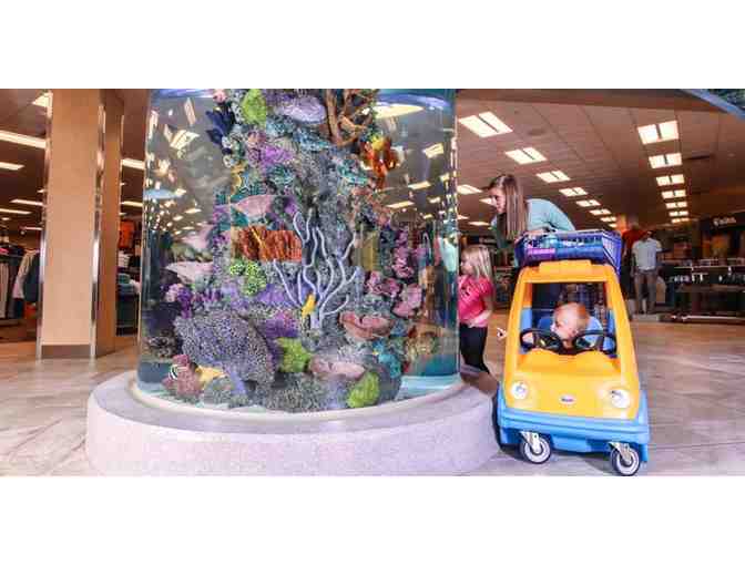 Scheels $25 Gift Card