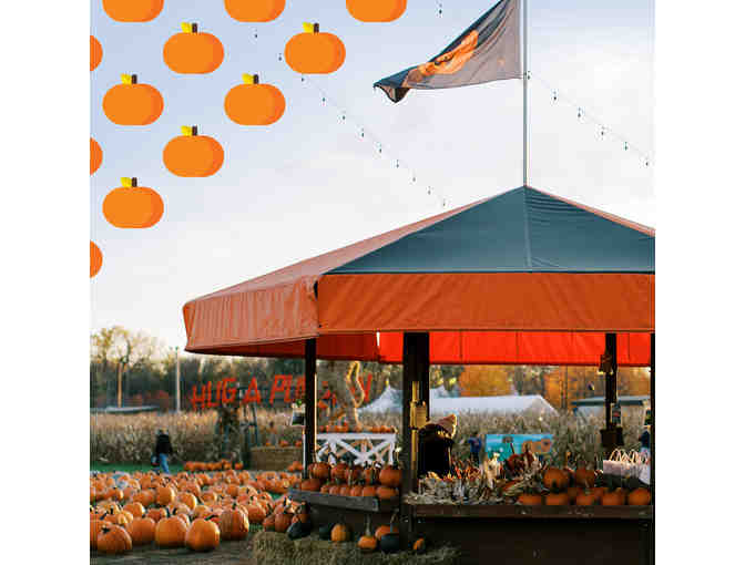 Severs Fall Festival Tickets for Four