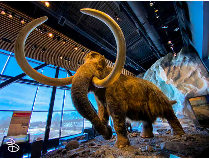 Bell Museum Admission Passes for Four