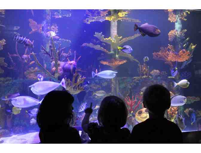 Great Lakes Aquarium Admission for Four