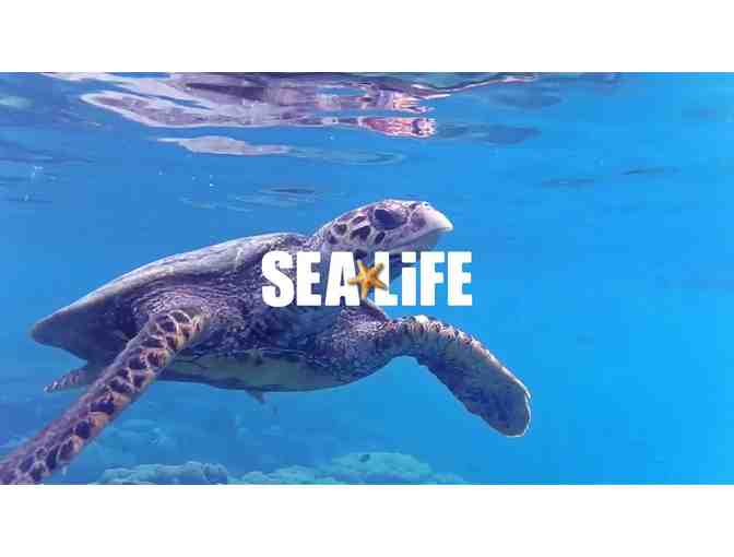 SEA LIFE Aquarium Passes for Four