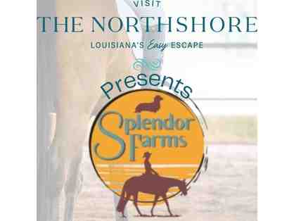 Bed & Breakfast Charm in Bush, LA