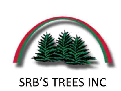 Landscaping Tree and Install
