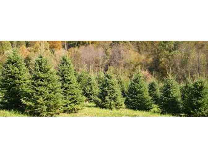 Gaver Farm-4 Admission Passes