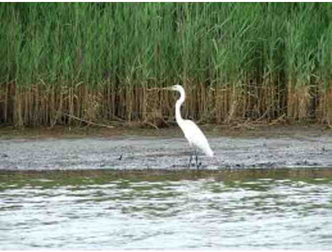 Ayers Creek Adventure - Gift Certificate for Two