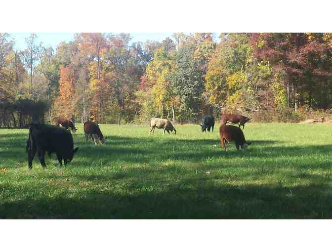 Cooler full of all Natural, Hormone-Free, Farm Raised Meats