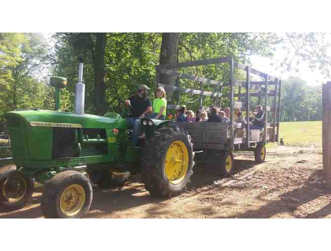 Child's Birthday Party at Playtime Pastures