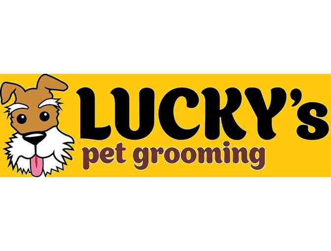 Lucky's Pet Grooming - Photo 1