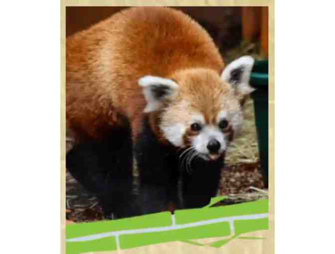 2 Tickets to Wildlife Safari in Oregon