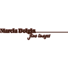 Marcia Dolgin Fine Images, Inc.