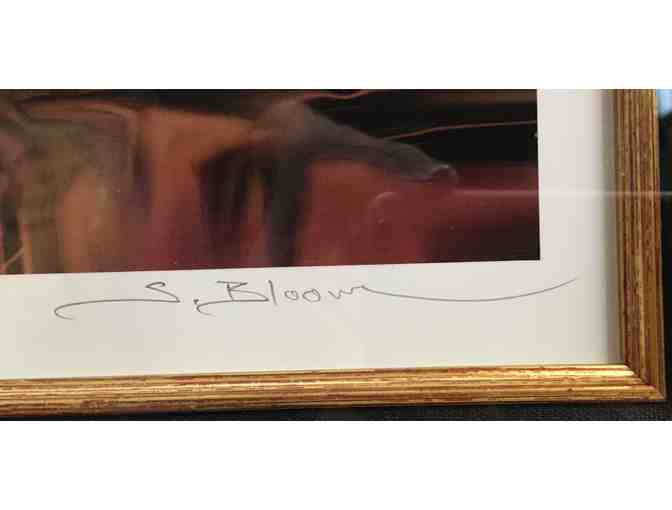 Mestizo II - Steve Bloom