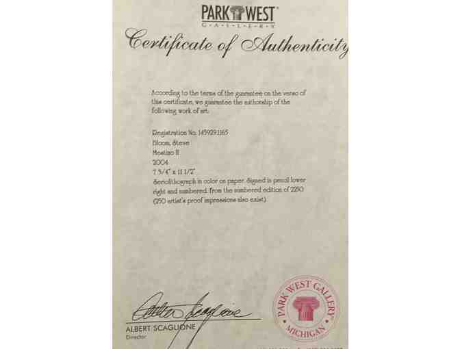 Mestizo II - Steve Bloom