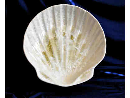 Edgecomb Potters Shell Platter