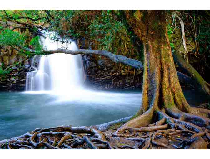 One Week In Maui, Hawaii for six people!