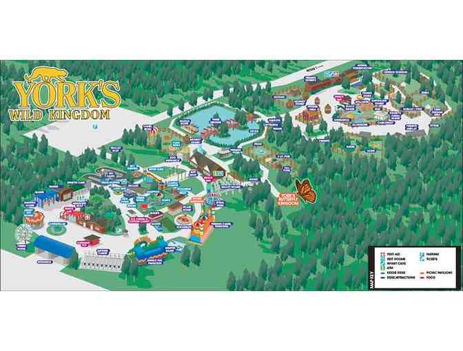 York's Wild Kingdom - 4 VIP Passes