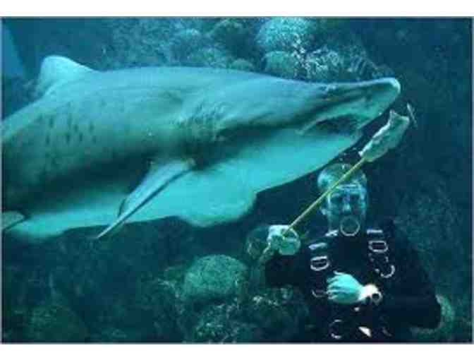 New England Aquarium - Two Passes