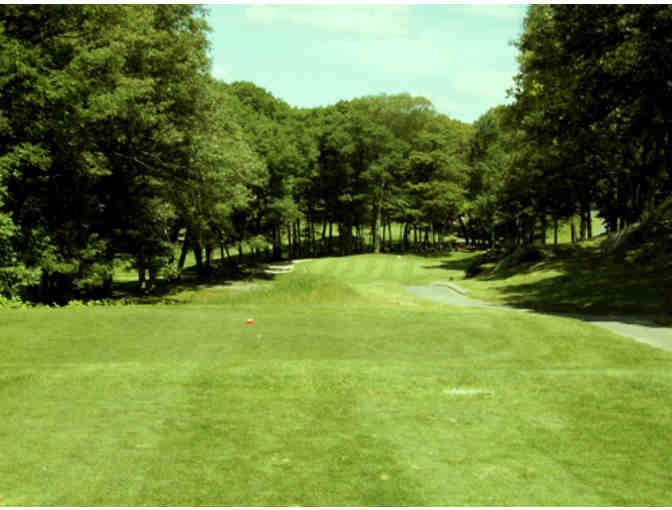 4 Rounds of Golf (18 holes) at Gannon Golf Club