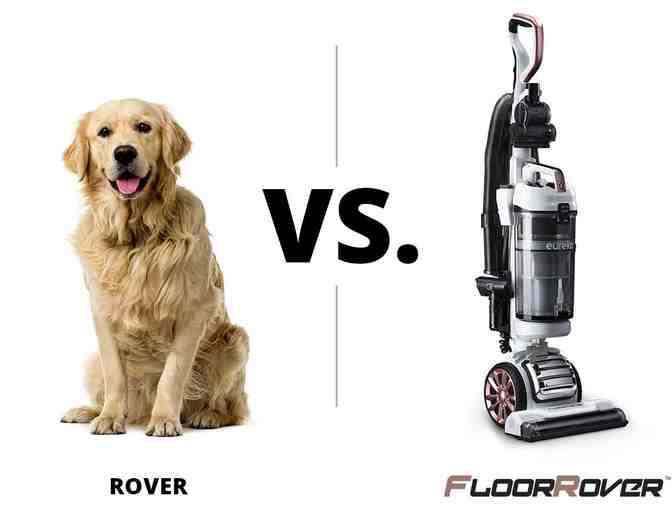 Eureka Floor Rover Bagless Upright Vacuum Cleaner