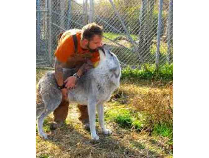 Wolf Hollow Souvenier Goodies