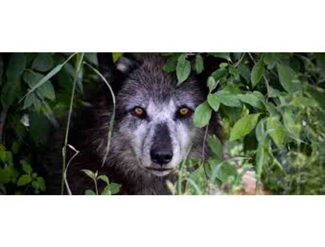 Wolf Hollow Souvenier Goodies