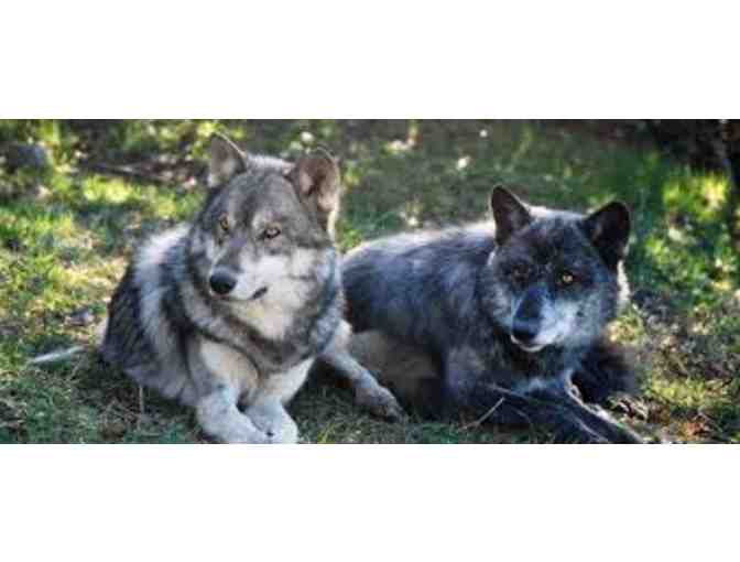 Wolf Hollow Souvenier Goodies