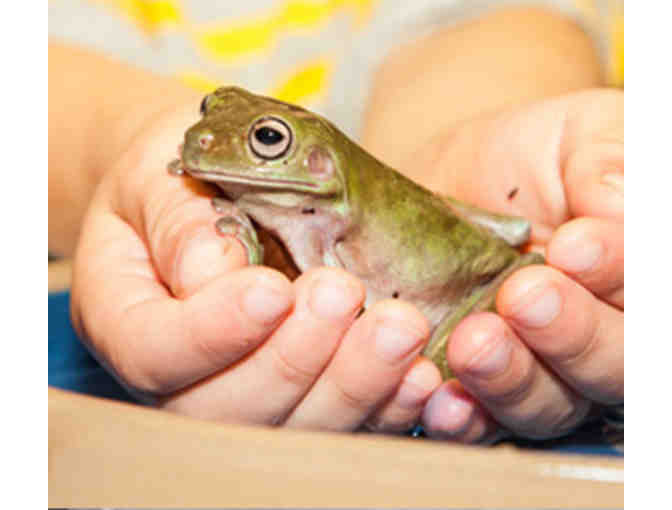 Lawrence Hall of Science - Family Admission Pass