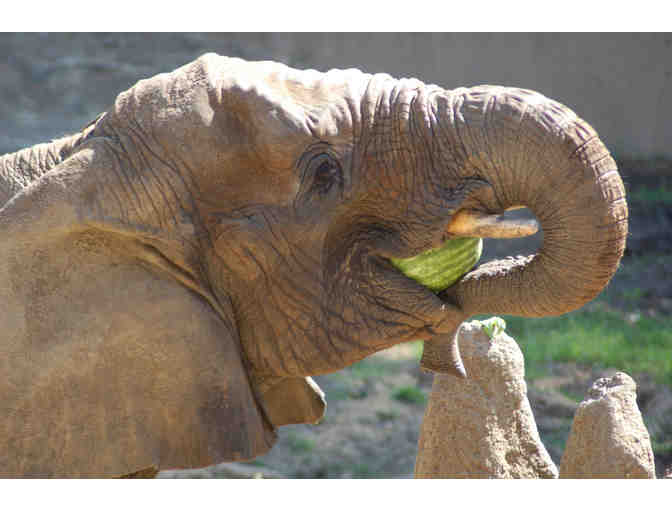 Oakland Zoo: Family Day Pass