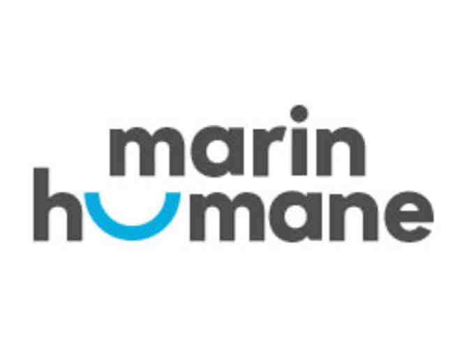 Birthday Party at the Marin Humane Society