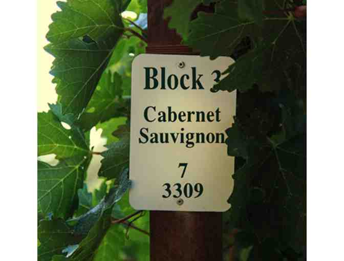 Clif Family - Seasonal White + Red Wine Tasting Experience with Farm Board for 4