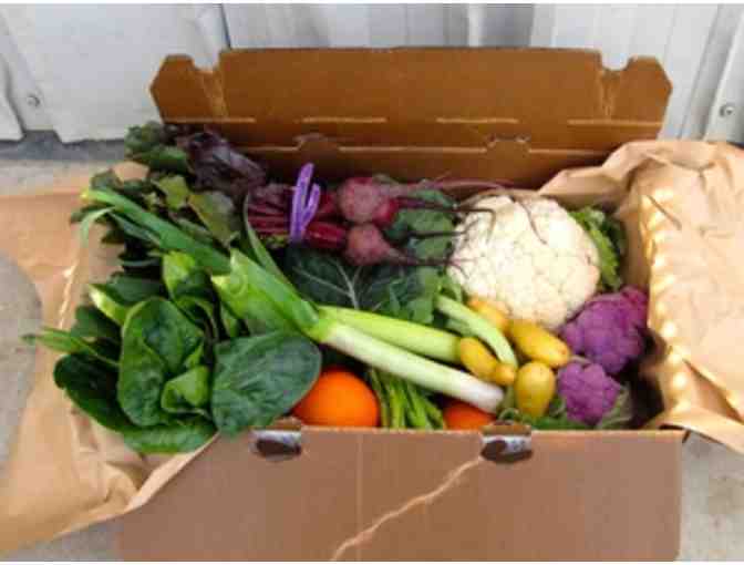 Riverdog Farm CSA: 4-Week Organic Veggie Box Subscription