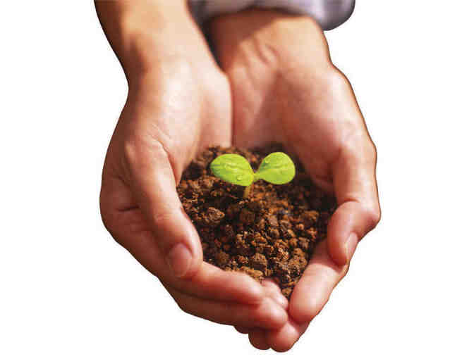 Van Winden's Garden Center, $50 Gift Card + One Load of Compost + Home Composting Kit