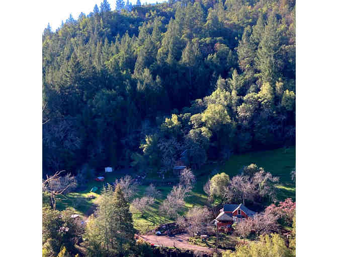 Fresh Milk - 2 Months of Milk from Pickle Creek Ranch - Local Napa Pickup or Delivery