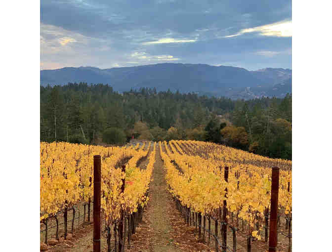 Fleury Estate Winery - 2016 Napa Valley - Ten10 Cabernet Sauvignon, 1 Bottle