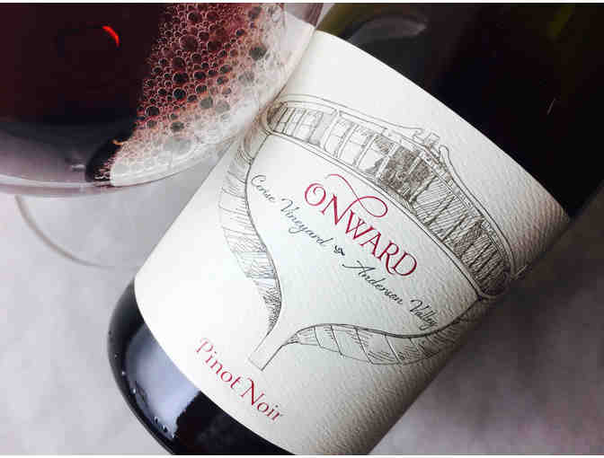 Onward 3 Bottle Sampler - 2017 Zinfandel, 2019 Pinot Noir, 2020 Chardonnay