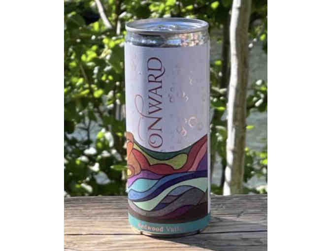 Igloo Cooler Backpack + 8 CANS Rose Wine + 2 Can Coolers+ Aerobie Flying Disc