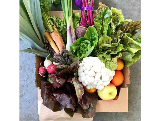 Maroon Wines + SBS Collaboration! 2015 Coombsville Reserve Cab + NAPA WILD VEGGIE BOX