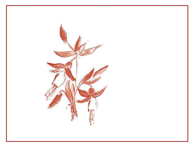 Arnot-Roberts 2019 Syrah, Sonoma Coast - 1.5L