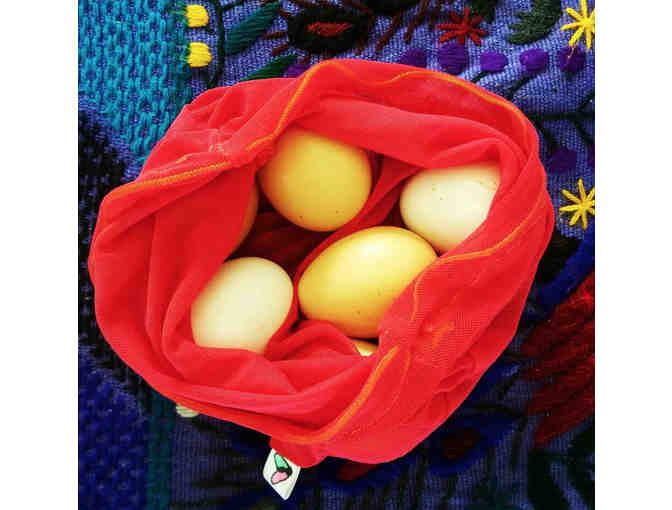 Fruit Fly Bags 3-Pack (small, medium, large) + Local Mixed Citrus