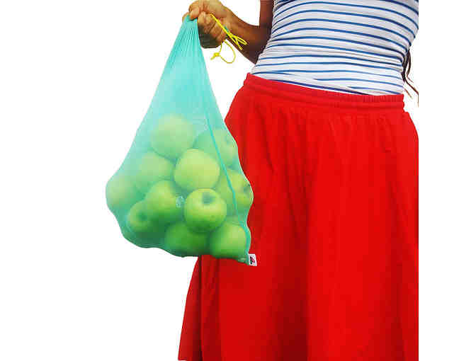 Fruit Fly Bags 5-pack