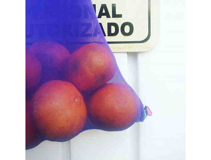 Fruit Fly Bags 5-pack + Mixed Local Citrus